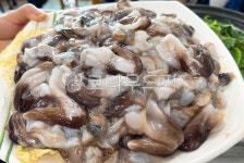 조개, 새조개, 새조개샤브샤브, 사브샤브, 새부리, 사진,이미지,일러스트,캘리그라피 - 유한리필작가 크라우드픽 - 저작권 걱정 없는 상업용 이미지