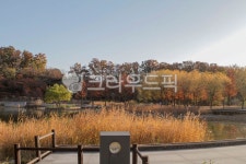 서울, 자연, 생태, 공원, 번동, 사진,이미지,일러스트,캘리그라피 - imlover작가 크라우드픽 - 저작권 걱정 없는 상업용 이미지