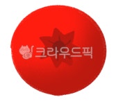 솔베리부쉬, 레드베리, 크리스마스열매, 빨간열매, 크리스마스, 사진,이미지,일러스트,캘리그라피 - YJL작가 크라우드픽 - 저작권 걱정 없는... 