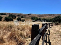 자연, 울타리, fence, nature, 야생, 사진,이미지,일러스트,캘리그라피 - 사공오팬트리작가 크라우드픽 - 저작권 걱정 없는 상업용 이미지