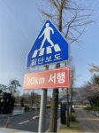 횡단보도, 횡단보도표지판, 표지판, 안전, 횡단, 사진,이미지,일러스트,캘리그라피 - Nhuh0_0작가 크라우드픽 - 저작권 걱정 없는 상업용 이미지