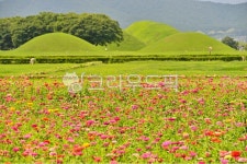 farm, 농장, rural, 농촌, plant, 사진,이미지,일러스트,캘리그라피 - 영산공작가 크라우드픽 - 저작권 걱정 없는 상업용 이미지
