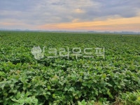 초목, 수평선, 하늘, 자연, outdoors, 사진,이미지,일러스트,캘리그라피 - 유랑자얌작가 크라우드픽 - 저작권 걱정 없는 상업용 이미지