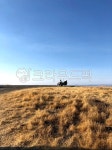 outdoors, 노후, 노부부, 커플, silver, 사진,이미지,일러스트,캘리그라피 - 사공오팬트리작가 크라우드픽 - 저작권 걱정 없는 상업용 이미지
