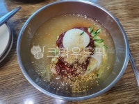 밀면, 냉면, 여름, 면, 부산, 사진,이미지,일러스트,캘리그라피 - Nj0prettyoh작가 크라우드픽 - 저작권 걱정 없는 상업용 이미지