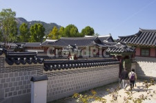 담벼락, 경복궁, 기와, 궁궐, 조선, 사진,이미지,일러스트,캘리그라피 - Naturis작가 크라우드픽 - 저작권 걱정 없는 상업용 이미지