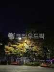 가로등, 야경, 벤치, 나무, 풍경, 사진,이미지,일러스트,캘리그라피 - ssu hyun작가 크라우드픽 - 저작권 걱정 없는 상업용 이미지