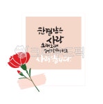 카네이션, 스승의날, 어버이날, 꽃, flower, 사진,이미지,일러스트,캘리그라피 - 메워니작가 크라우드픽 - 저작권 걱정 없는 상업용 이미지