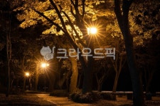 삼천포대교공원, 숲, 야경, 불빛, 가을, 사진,이미지,일러스트,캘리그라피 - Nkunhee400작가 크라우드픽 - 저작권 걱정 없는 상업용 이미지