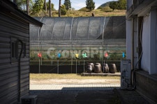 학교, 바람개비, 장독대, 빈티지, 프레임, 사진,이미지,일러스트,캘리그라피 - Heuiseong Ra작가 크라우드픽 - 저작권 걱정 없는 상업용 이미지