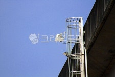 새, 조류, 하늘, 파란하늘, 두루미, 사진,이미지,일러스트,캘리그라피 - Nbocrates68작가 크라우드픽 - 저작권 걱정 없는 상업용 이미지