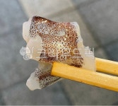 산오징어회, 오징어회, 오징어, 산오징어, 회, 사진,이미지,일러스트,캘리그라피 - 먹방작가 크라우드픽 - 저작권 걱정 없는 상업용 이미지