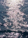 water, 윤슬, 빛, 물결, 은물결, 사진,이미지,일러스트,캘리그라피 - 96dbwlsrud작가 크라우드픽 - 저작권 걱정 없는 상업용 이미지