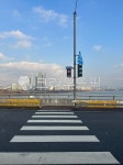 횡단보도, 신호등, 대교, 한강, 빨간불, 사진,이미지,일러스트,캘리그라피 - 권님작가 크라우드픽 - 저작권 걱정 없는 상업용 이미지