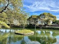 nature, 자연, 연못, 옥외, tree, 사진,이미지,일러스트,캘리그라피 - skyhj777작가 크라우드픽 - 저작권 걱정 없는 상업용 이미지