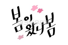 봄, 봄문구, 봄캘리, 봄이왔나봄, 캘리그라피, 사진,이미지,일러스트,캘리그라피 - 524studio작가 크라우드픽 - 저작권 걱정 없는 상업용 이미지