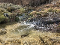 계곡, 시냇물, 산속, 깊은산, 계곡물, 사진,이미지,일러스트,캘리그라피 - 포파파작가 크라우드픽 - 저작권 걱정 없는 상업용 이미지