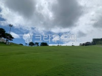 field, 필드, 자연, nature, 목초지, 사진,이미지,일러스트,캘리그라피 - 리치파파작가 크라우드픽 - 저작권 걱정 없는 상업용 이미지