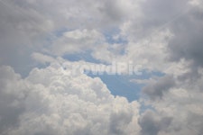 맑은하늘, 권적운, 구름, 포근함, 층운, 사진,이미지,일러스트,캘리그라피 - saaami작가 크라우드픽 - 저작권 걱정 없는 상업용 이미지