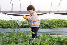 어린이, 유아, 아기, 체험, 농장, 사진,이미지,일러스트,캘리그라피 - ddong작가 크라우드픽 - 저작권 걱정 없는 상업용 이미지