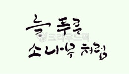 소나무, 늘푸른, 솔나무, 캘리그라피, 손글씨, 사진,이미지,일러스트,캘리그라피 - SeeOn작가 크라우드픽 - 저작권 걱정 없는 상업용 이미지