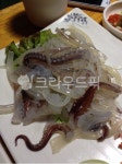 산오징어, 오징어회, 한치회, 해산물, 생오징어, 사진,이미지,일러스트,캘리그라피 - rindalove작가 크라우드픽 - 저작권 걱정 없는 상업용 이미지