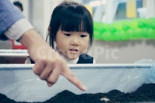 체험학습, 가리키다, 알려주다, 보다, 집중, 사진,이미지,일러스트,캘리그라피 - Norway작가 크라우드픽 - 저작권 걱정 없는 상업용 이미지