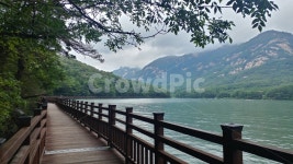 bridge, 다리, 산책로, 데크, 둘레길, 사진,이미지,일러스트,캘리그라피 - 행복사업작가 크라우드픽 - 저작권 걱정 없는 상업용 이미지