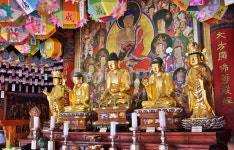 대웅보전오존불, 금불상, 보광사, 목조불보살상, 아미타여래, 사진,이미지,일러스트,캘리그라피 - Deep bLUE작가 크라우드픽 - 저작권 걱정 없는... 