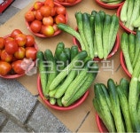 조팀장야채과일재래시장 | 오이, 토마토, 과일야채가게, 재래시장풍경, 재래시장, 사진,이미지,일러스트,캘리그라피 - Moon78작가 크라우드픽 - 저작권 걱정 없는 상업용...