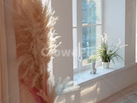 interiordesign, 인테리어디자인, indoors, 옥내, 햇빛, 사진,이미지,일러스트,캘리그라피 - hd0703작가 크라우드픽 - 저작권 걱정 없는... 