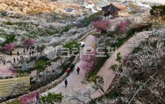 정자, 쉼터, outdoors, 옥외, nature, 사진,이미지,일러스트,캘리그라피 - 영산공작가 크라우드픽 - 저작권 걱정 없는 상업용 이미지