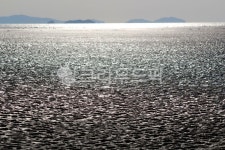 바다, 갯벌, 석양, 해변, 햇빛, 사진,이미지,일러스트,캘리그라피 - benjamin작가 크라우드픽 - 저작권 걱정 없는 상업용 이미지
