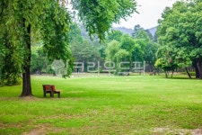 공원, 벤치, 장릉, 나무, 잔디, 사진,이미지,일러스트,캘리그라피 - 메추리알작가 크라우드픽 - 저작권 걱정 없는 상업용 이미지