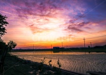 노을, 하늘, 시골, 시골풍경, 풍경, 사진,이미지,일러스트,캘리그라피 - 민작가 크라우드픽 - 저작권 걱정 없는 상업용 이미지