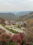 s자도로, 가을길, 단풍, 가을산길, 풍경, 사진,이미지,일러스트,캘리그라피 - 모카맘작가 크라우드픽 - 저작권 걱정 없는 상업용 이미지