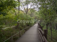 수목원, botanicalgarden, 대구수목원, 대곡수목원, 자연, 사진,이미지,일러스트,캘리그라피 - 내가바로람쥐작가 크라우드픽 - 저작권 걱정... 