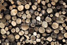 장작, 나무, 화목, 불쏘시개, 잡목, 사진,이미지,일러스트,캘리그라피 - 원프로작가 크라우드픽 - 저작권 걱정 없는 상업용 이미지