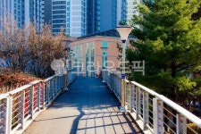 자연, nature, 옥외, outdoors, 육교, 사진,이미지,일러스트,캘리그라피 - studio H작가 크라우드픽 - 저작권 걱정 없는 상업용 이미지