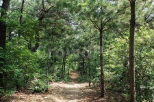 대전, 대전둘레산길, 구봉산, 등산로, 여름, 사진,이미지,일러스트,캘리그라피 - Jay작가 크라우드픽 - 저작권 걱정 없는 상업용 이미지