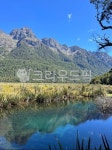 뉴질랜드, milfordsound, 밀포드사운드, 미러레이크, mirrorlake, 사진,이미지,일러스트,캘리그라피 - Nforeverboom작가 크라우드픽... 