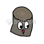 한약, 한의원, 건강, 약재, 한약재, 사진,이미지,일러스트,캘리그라피 - 하이한약작가 크라우드픽 - 저작권 걱정 없는 상업용 이미지