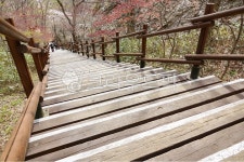 계단, 등산로, 계단길, 마이산, 한국, 사진,이미지,일러스트,캘리그라피 - bitgrida작가 크라우드픽 - 저작권 걱정 없는 상업용 이미지