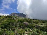 한라산풍경, 한라산구름, 영실코스풍경, 영실코스구름, 구름, 사진,이미지,일러스트,캘리그라피 - bubblebursts작가 크라우드픽 - 저작권 걱정... 
