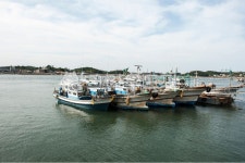 어선, 바다, 항구, 바닷물, 배, 사진,이미지,일러스트,캘리그라피 - passion434작가 크라우드픽 - 저작권 걱정 없는 상업용 이미지