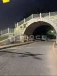 고가도로, 도로, 산책, 공원, 수원, 사진,이미지,일러스트,캘리그라피 - Gaeko82작가 크라우드픽 - 저작권 걱정 없는 상업용 이미지