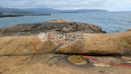 예류지질공원, 대만, 지질, 바위, 화석, 사진,이미지,일러스트,캘리그라피 - Solomon작가 크라우드픽 - 저작권 걱정 없는 상업용 이미지