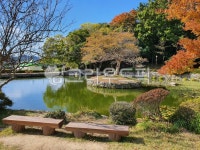 나무, 정원, 식물, 자연, tree, 사진,이미지,일러스트,캘리그라피 - 베짱이e작가 크라우드픽 - 저작권 걱정 없는 상업용 이미지