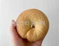 베이글, 홈베이킹, 베이커리, 빵, 디저트, 사진,이미지,일러스트,캘리그라피 - Novana작가 크라우드픽 - 저작권 걱정 없는 상업용 이미지