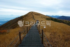 소백산, 나무, tree, 하늘, sky, 사진,이미지,일러스트,캘리그라피 - cyber7069작가 크라우드픽 - 저작권 걱정 없는 상업용 이미지